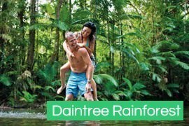 Daintree Rainforest Port Douglas