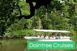 Daintree River Cruises