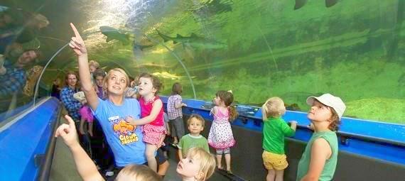Manly Aquarium