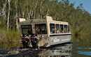 Noosa Everglades Cruises