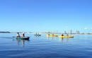 Gold Coast Kayaking