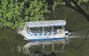 Daintree River Cruises