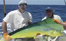 Gold Coast Offshore Fishing Tours