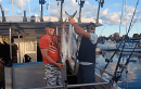 Gold Coast Fishing Charters