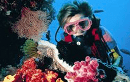 Scuba Diving Coolangatta