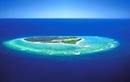 Great Barrier Reef Tour from Gold Coast
