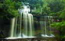 Mt Field National Park Tour