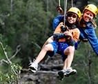 Hollybank Treetops Adventures Launceston