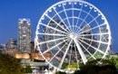The Wheel of Brisbane