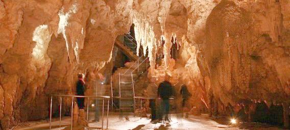Journey through the Waitomo Glowworm Caves