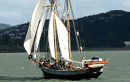 Tall Ship Sailing in the Bay of Islands