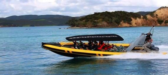 Check out the Bay of Islands on a high speed ocean adventure