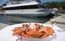 Tweed River Cruises