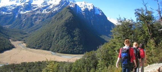 Hike through Fiordland on the scenic Routeburn track