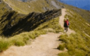 Kepler Track