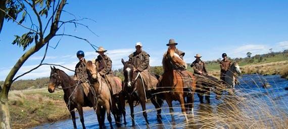 Snowy Mountains Horse Riding