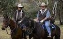 Snowy Mountains Horse Riding