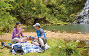 Auckland West Coast Day Tour