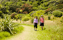 Auckland Walking Tours