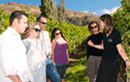 Queenstown Winery Tour