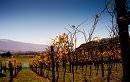 Queenstown Wine Packages