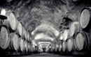 Gibbston Valley Wine Tasting and Cave Tour