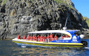 Bruny Island Tours from Hobart