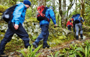 3 Day Hollyford Track Guided Walk
