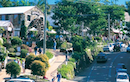 Montville Shopping Sunshine Coast