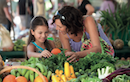 Eumundi Markets Tour
