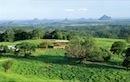 Montville and Hinterland Wine Tour