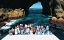 Bay of Islands Day Tour and Hole in the Rock Cruise from Auckland