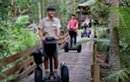 Gold Coast Segway Tour with Currumbin Sanctuary Entry