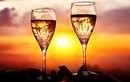 Wine and Canapes Cruise Sydney Harbour