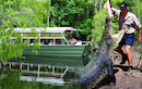 Hartleys Crocodile Adventure Park Half Day Tour from Cairns
