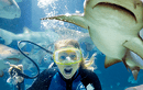 Underwater World Sunshine Coast