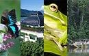 Cairns and Port Douglas Attraction Pass