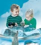 Manly SEA LIFE Sanctuary General Admission 13245