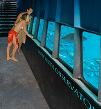 Great Barrier Reef 3 Day Tour departing from the Gold Coast 5997