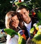 Currumbin Wildlife Sanctuary