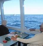 Whale Watching Tour 5690