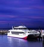 Whale Watching Tour 5692