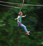 Daintree Rainforest Jungle Surfing 18167