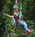 Daintree Rainforest Jungle Surfing 18169