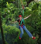 Daintree Rainforest Jungle Surfing 3579