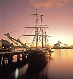 Wine and Canapes Dinner Cruise