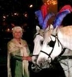 Melbourne Horse and Carriage City Tour 10791