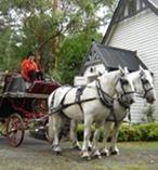 Melbourne Horse and Carriage City Tour 4686