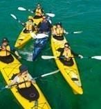 Sea Kayaking 5347