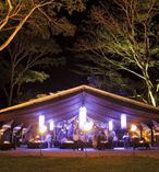 Romantic Dining Experience